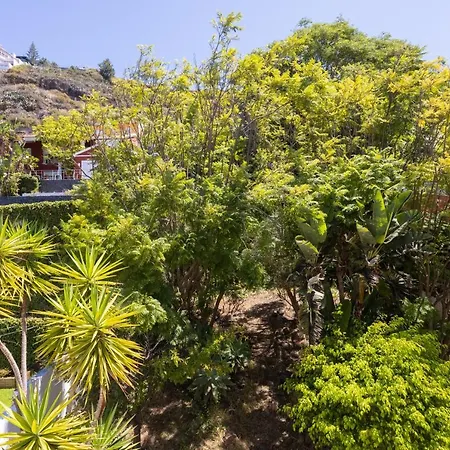 Home2book Stunning Raquel, Pool & View * Sauzal