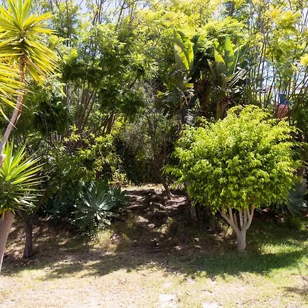 Villa Home2book Stunning Raquel, Pool & View Sauzal
